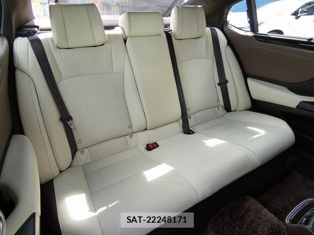 Lexus ES 2019-04 8315159-22