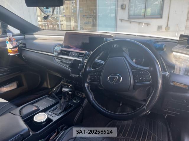 Lexus ES 2019-03 8371793-12