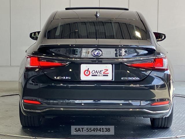 Lexus ES 2019-06 8413258-28