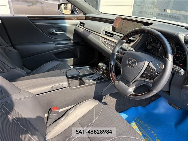 Lexus ES 2019-04 8525485-13