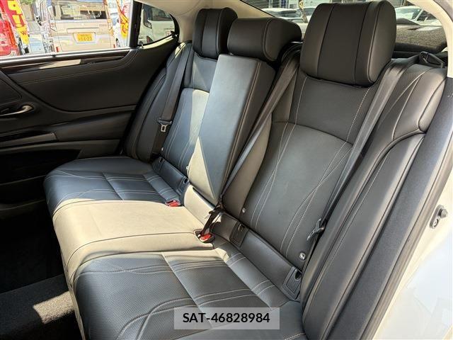 Lexus ES 2019-04 8525485-18