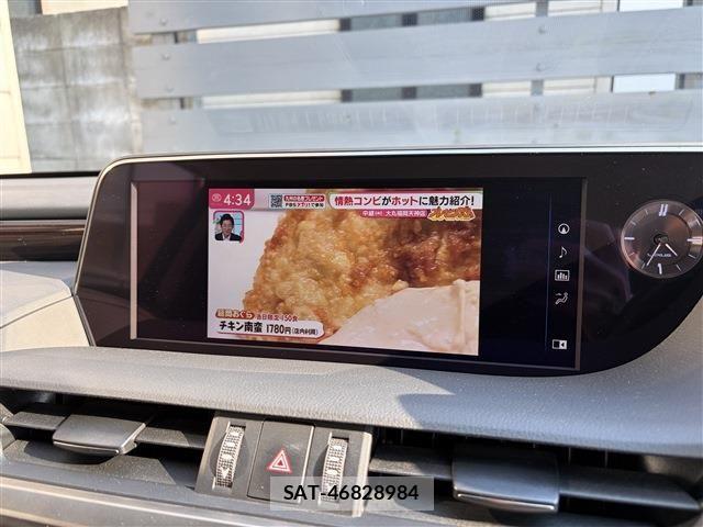 Lexus ES 2019-04 8525485-22