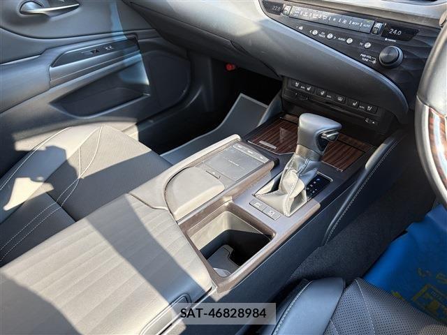 Lexus ES 2019-04 8525485-24