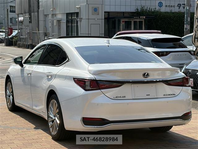 Lexus ES 2019-04 8525485-4