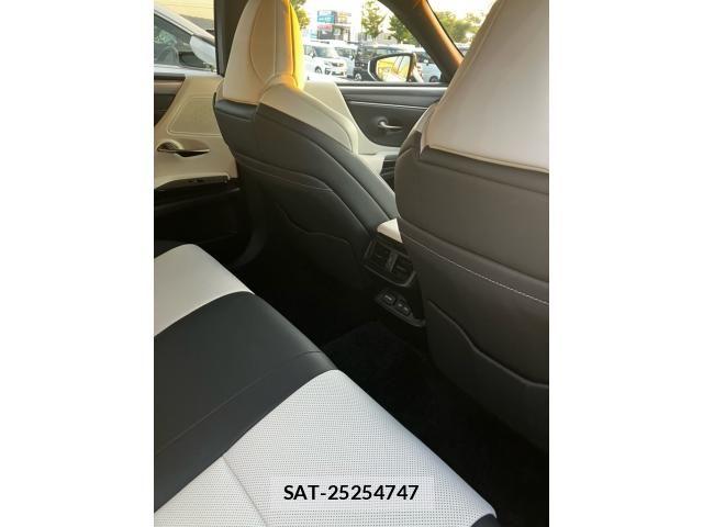 Lexus ES 2023-07 8659896-26