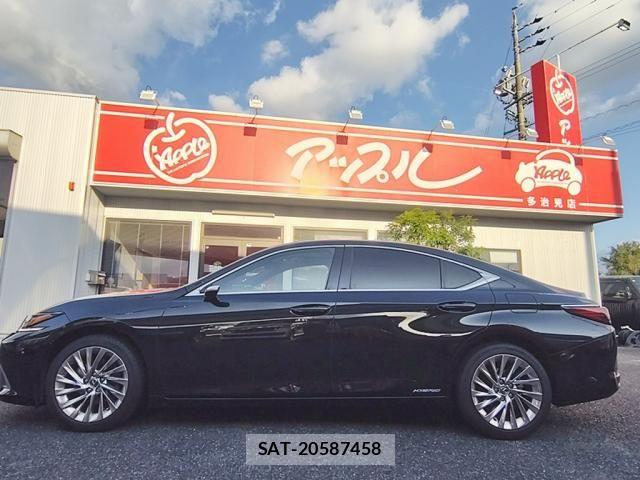 Lexus ES 2019-01 8685829-9