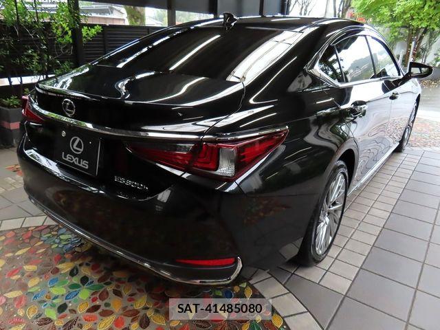 Lexus ES 2024-02 8743366-10