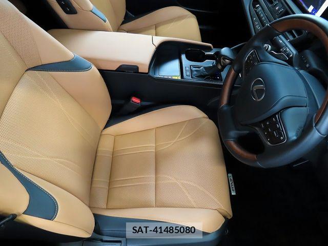 Lexus ES 2024-02 8743366-15