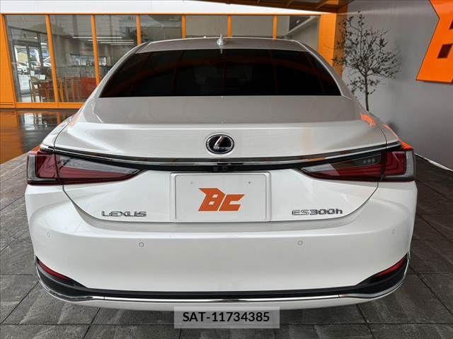 Lexus ES 2020-03 8743371-13