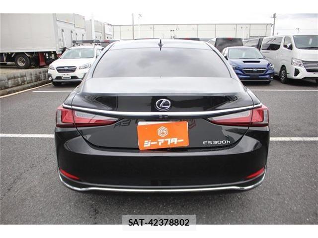 Lexus ES 2023-01 8796446-12