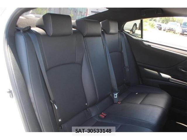 Lexus ES 2019-08 8849565-19