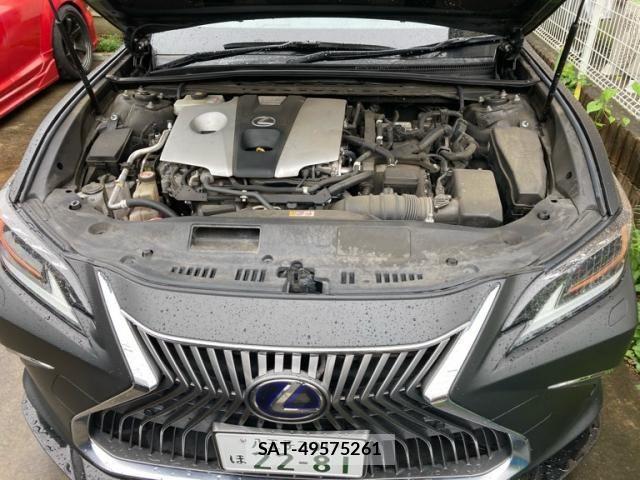 Lexus ES 2018-12 8849566-28
