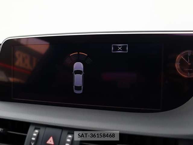 Lexus ES 2018-10 8880468-9