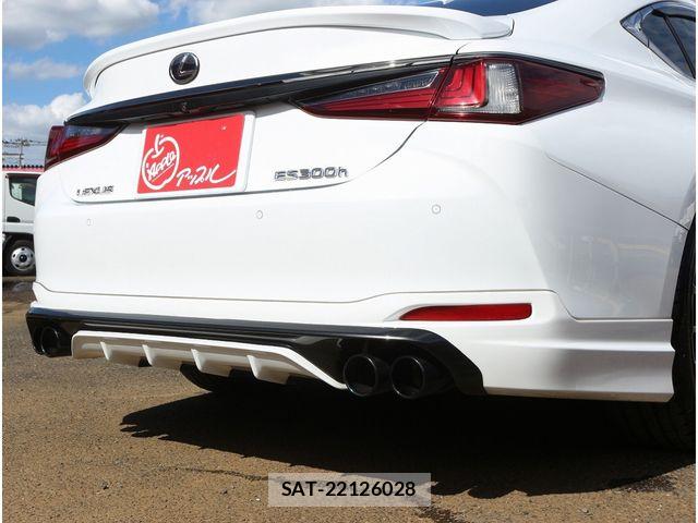Lexus ES 2018-11 8883833-20