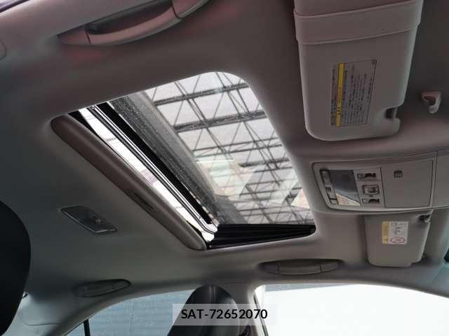Lexus HS 2014-09 6995009-18