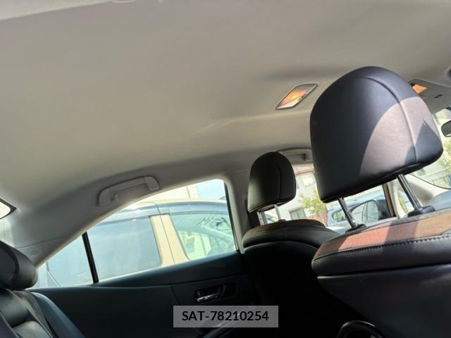 Lexus HS 2017-01 7455371-9
