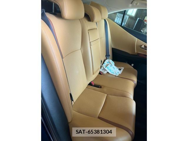 Lexus HS 2017-03 7979751-8