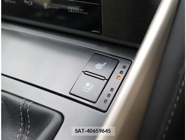 Lexus IS 2013-09 7220916-21