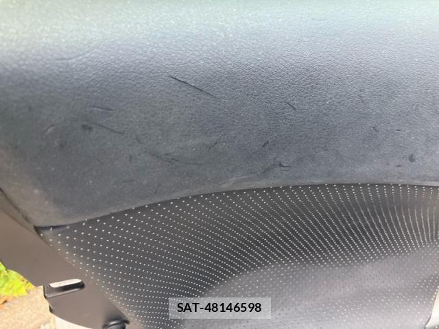 Lexus IS 2008-04 8315174-13