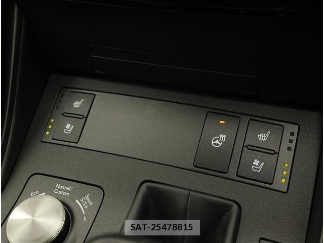 Lexus IS 2021-06 8315176-12