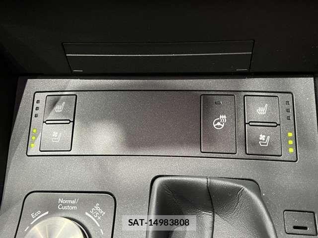 Lexus IS 2022-03 1165130-7