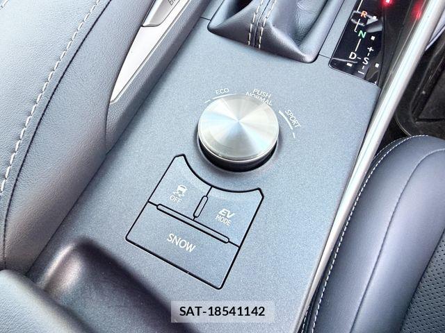 Lexus IS 2019-04 6641821-16