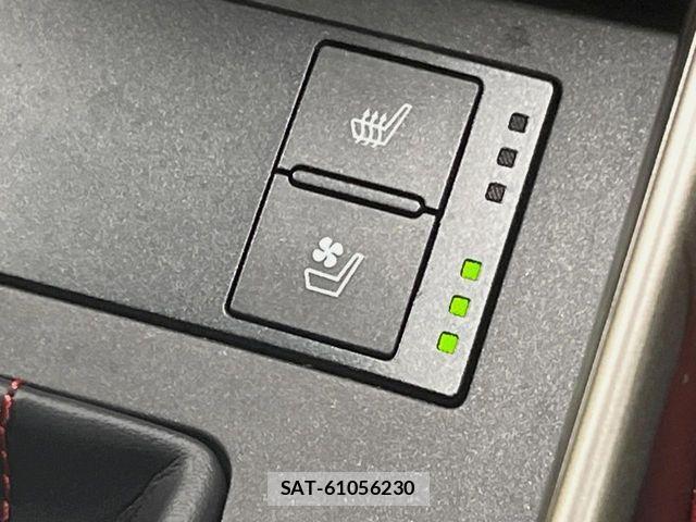 Lexus IS 2018-10 7220934-4