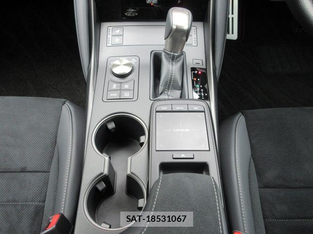 Lexus IS 2023-11 7328023-29