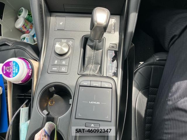 Lexus IS 2024-06 7902848-23