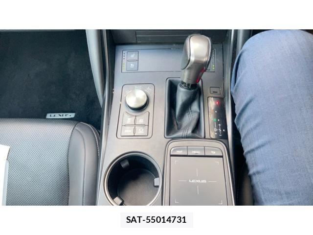 Lexus IS 2021-01 7979758-6