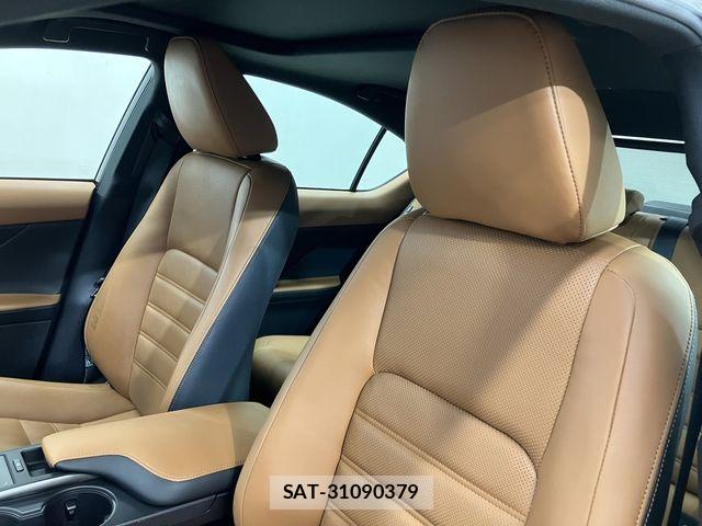 Lexus IS 2023-03 8796461-21