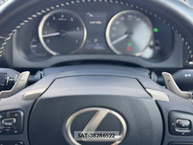 Lexus IS 2019-09 4595444-13