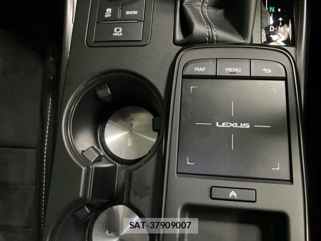 Lexus IS 2023-07 7962395-19