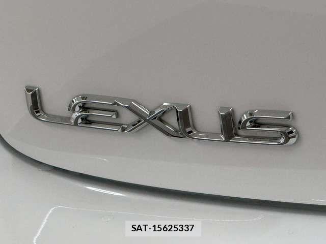 Lexus IS F 2014-06 8100131-10
