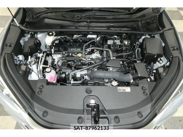Lexus LBX 2024-05 6011594-26