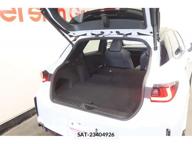 Lexus LBX 2024-12 6011575-22