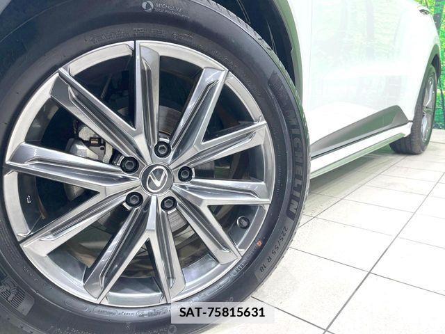 Lexus LBX 2024-07 7902854-12