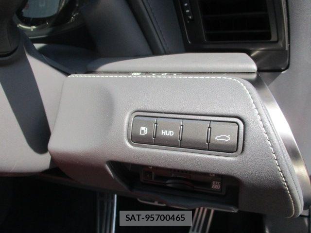 Lexus LC 2020-12 4326219-17