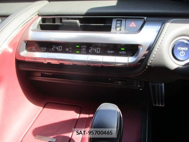 Lexus LC 2020-12 4326219-22