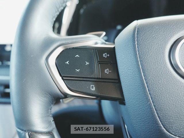 Lexus LM 2024-10 8036436-11