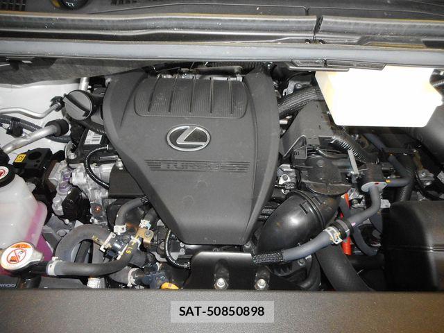 Lexus LM 2025-04 8880507-29