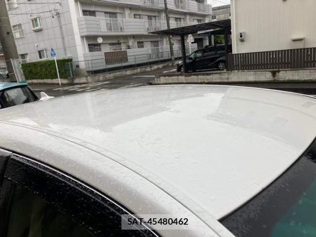 Lexus LS 2008-10 7328036-8
