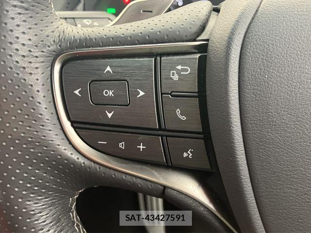 Lexus LS 2019-10 4421761-15