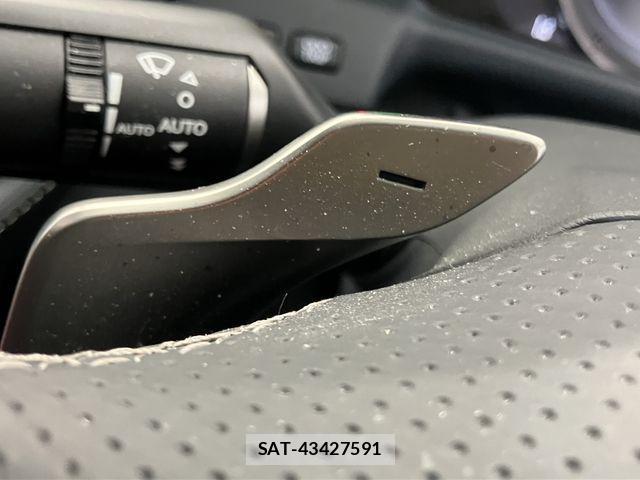 Lexus LS 2019-10 4421761-17