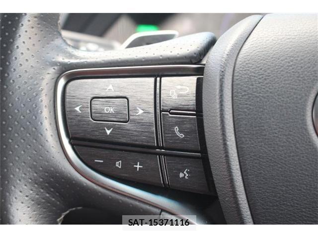 Lexus LS 2017-11 7328045-28