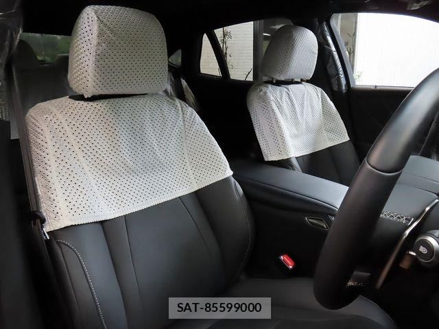 Lexus LS 2023-06 6676684-16
