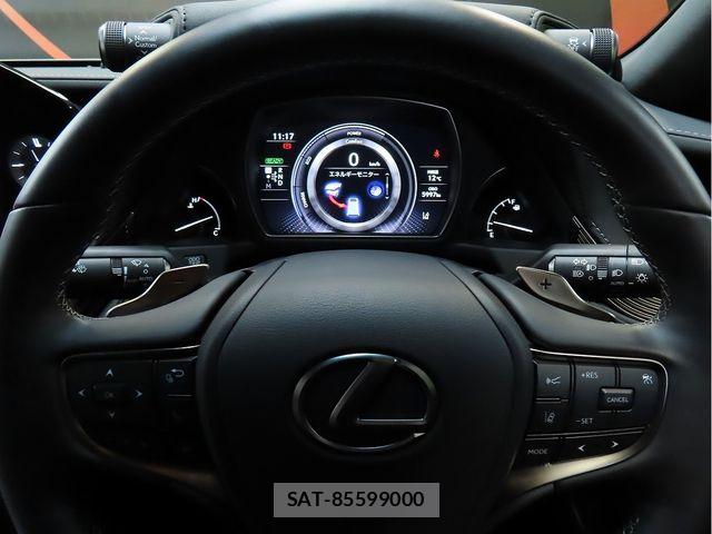 Lexus LS 2023-06 6676684-18