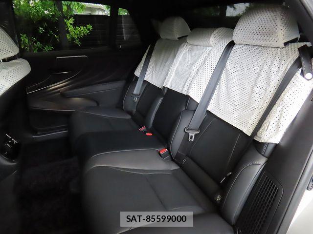 Lexus LS 2023-06 6676684-25
