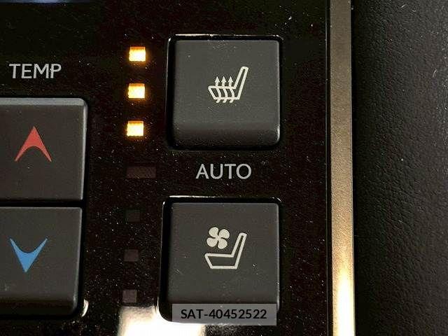 Lexus LX 2015-10 5870973-7