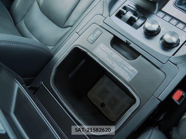 Lexus LX 2021-02 7221004-28